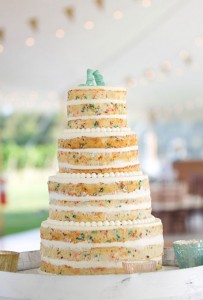 naked sprinkle cake