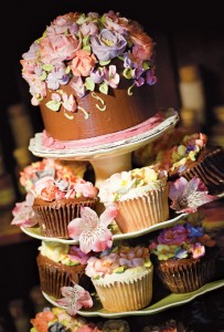 cake and cupcake3